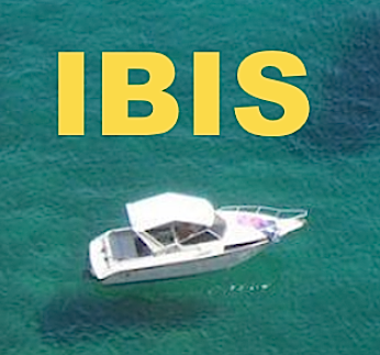 1549531611_ibis.jpg