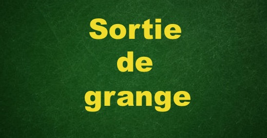 1620418145_vert612.jpg
