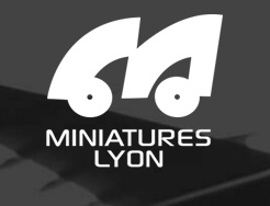 1620573498_miniature_lyon.jpg