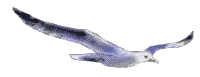 1443691102_mouette001.gif